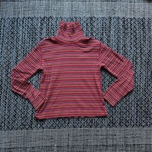 Multicolor Striped Turtleneck